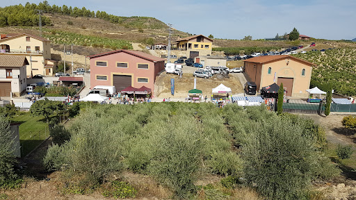 Ayuntamiento de Baños de Ebro