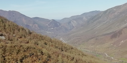 Degaña