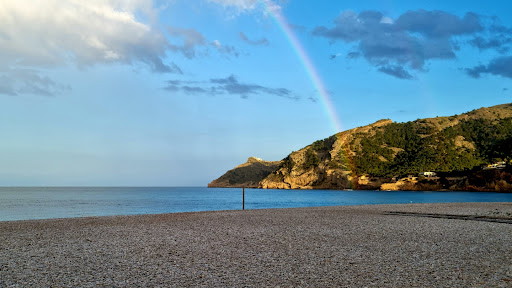 Notaria de Alfàs del Pi - Albir